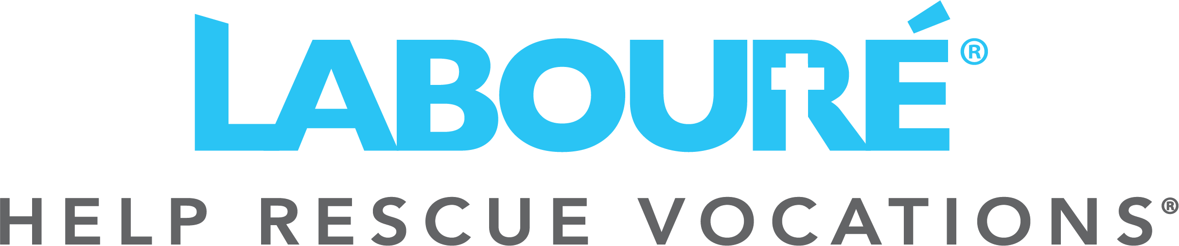 The Labouré Society